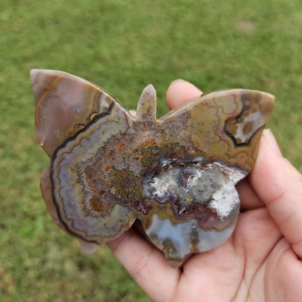 lace agate butterfly 4 in - Picture 2 of 2